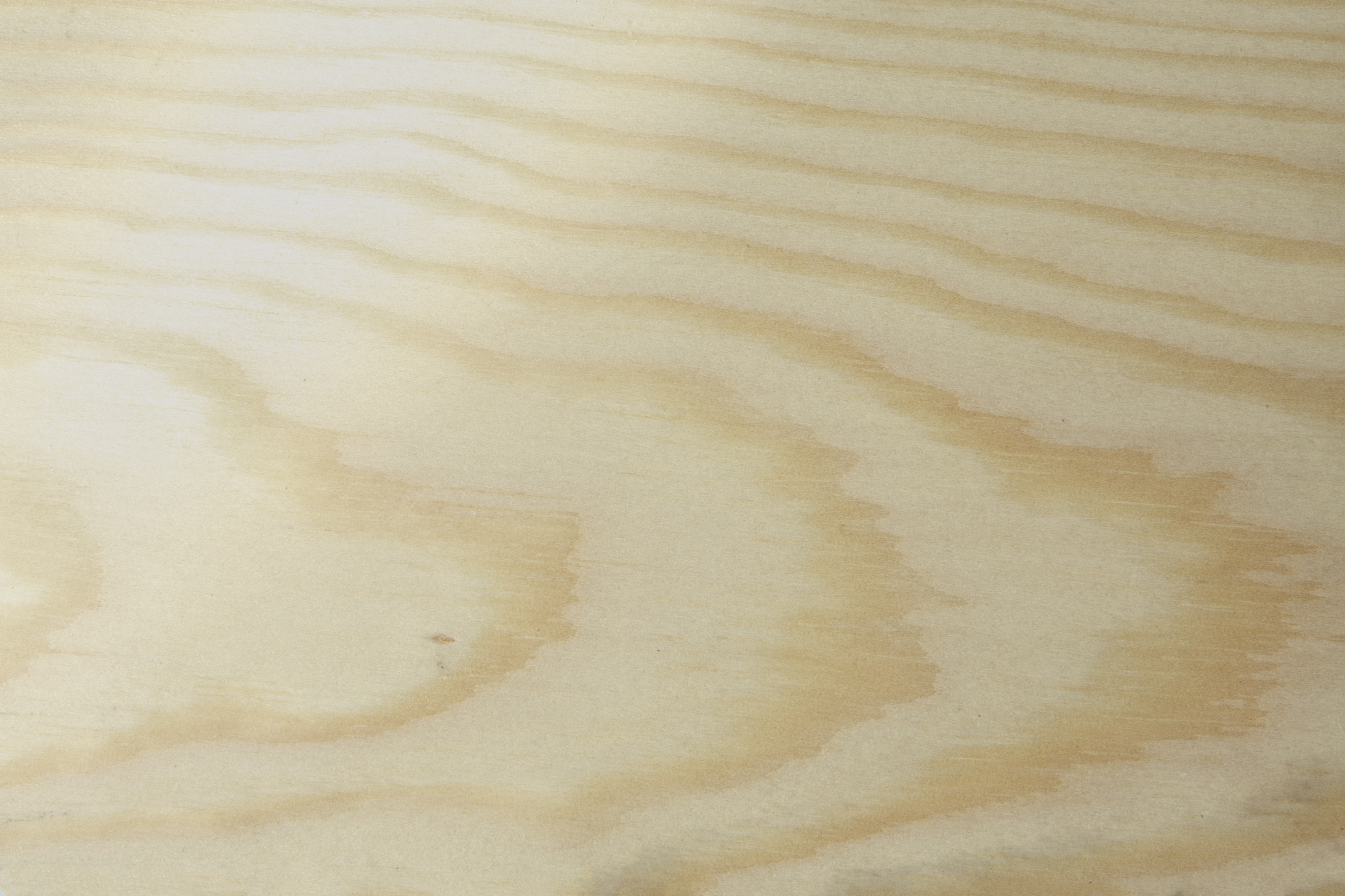 Intérieur : pin incolore mat