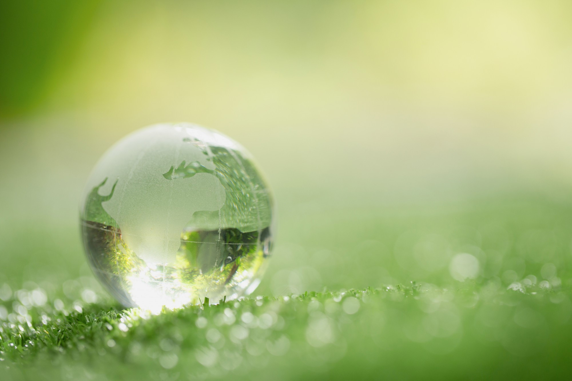 Close Up Crystal Globe Resting Grass Forest