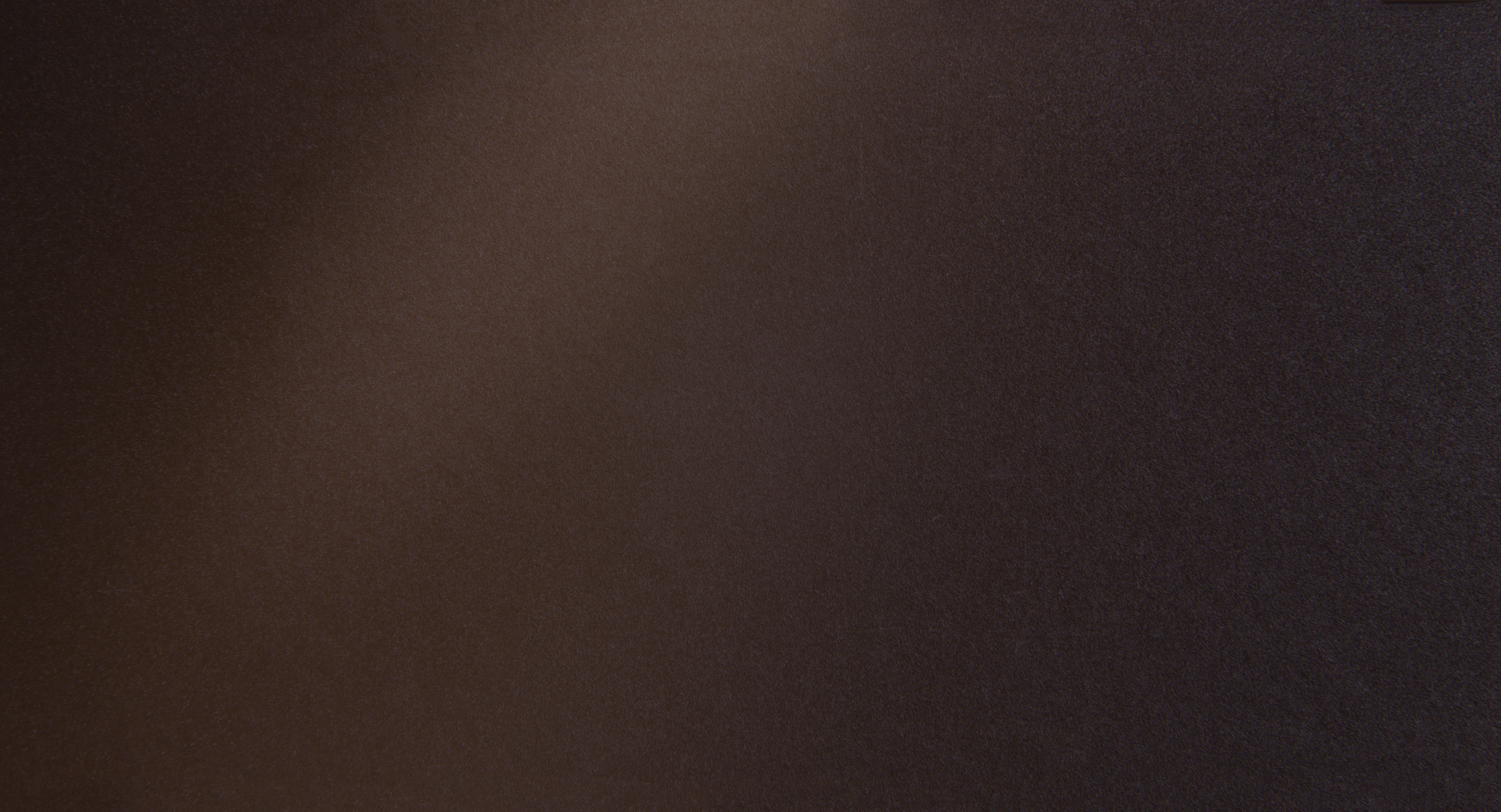 Extérieur : 1247 Brun bronze Satiné